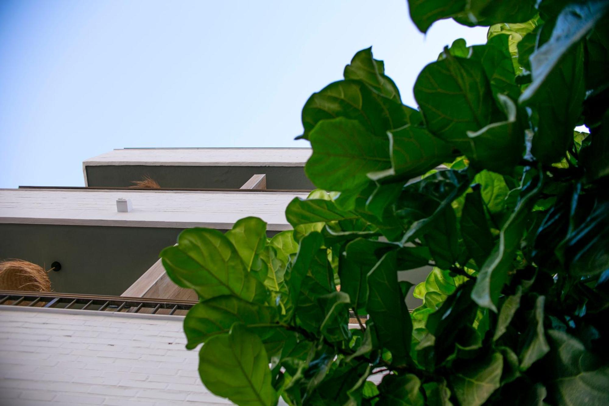 Casa Lyrata Comfort & Design Malaga Exterior photo